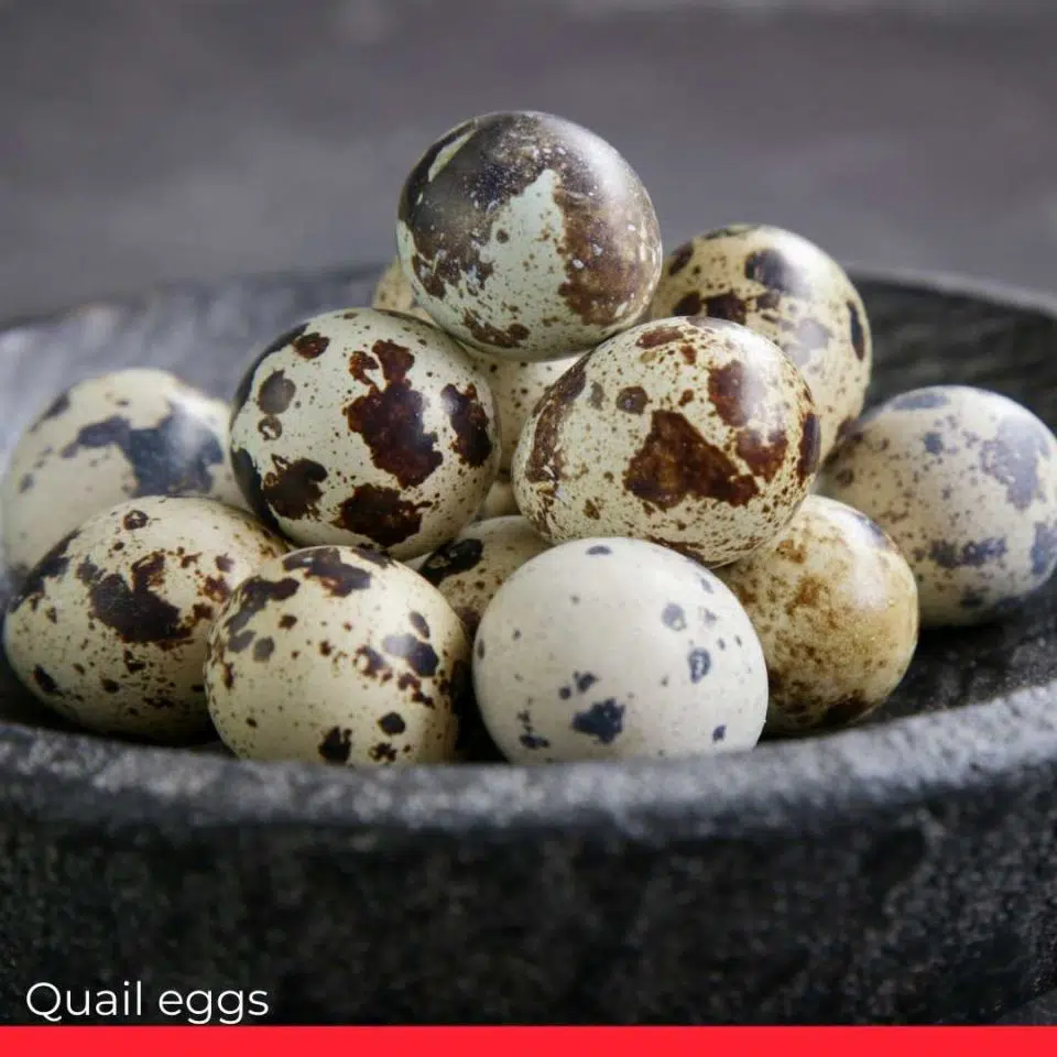 Quail eggs