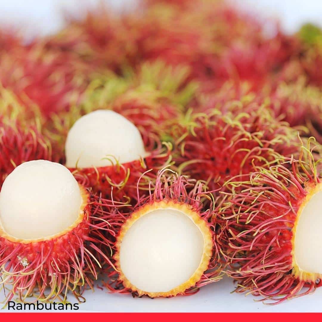 Rambutans