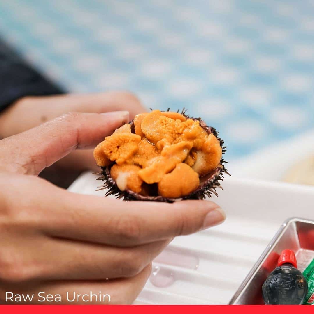 Raw Sea Urchin