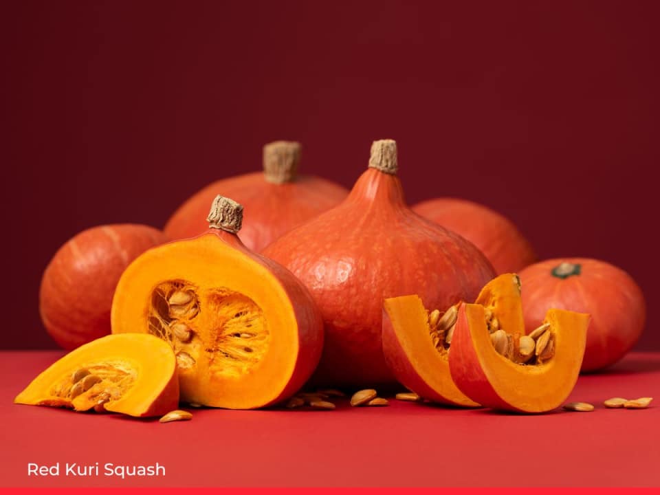15 Types of Squash & Pumpkin and How to Cook Them