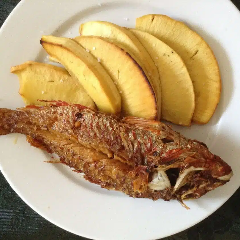 Roasted Breadfruit and fried Jackfish