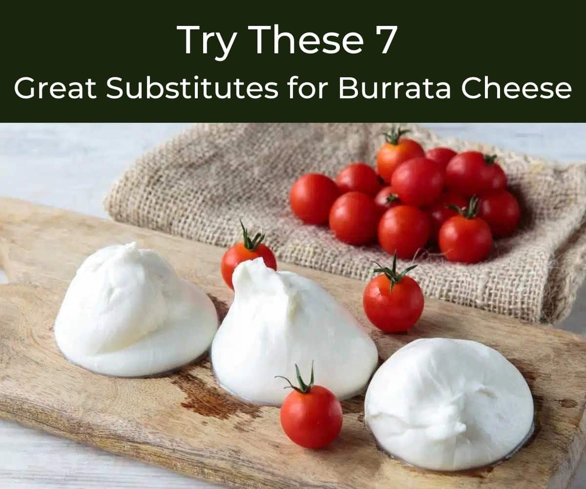 https://www.chefspencil.com/wp-content/uploads/Substitutes-for-Burrata-Cheese-1.jpg