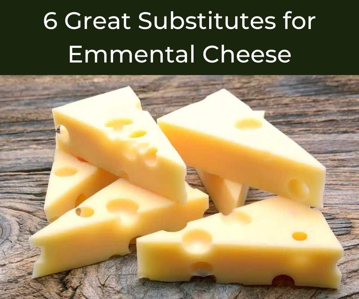 6 Great Substitutes for Emmental Cheese - Chef's Pencil