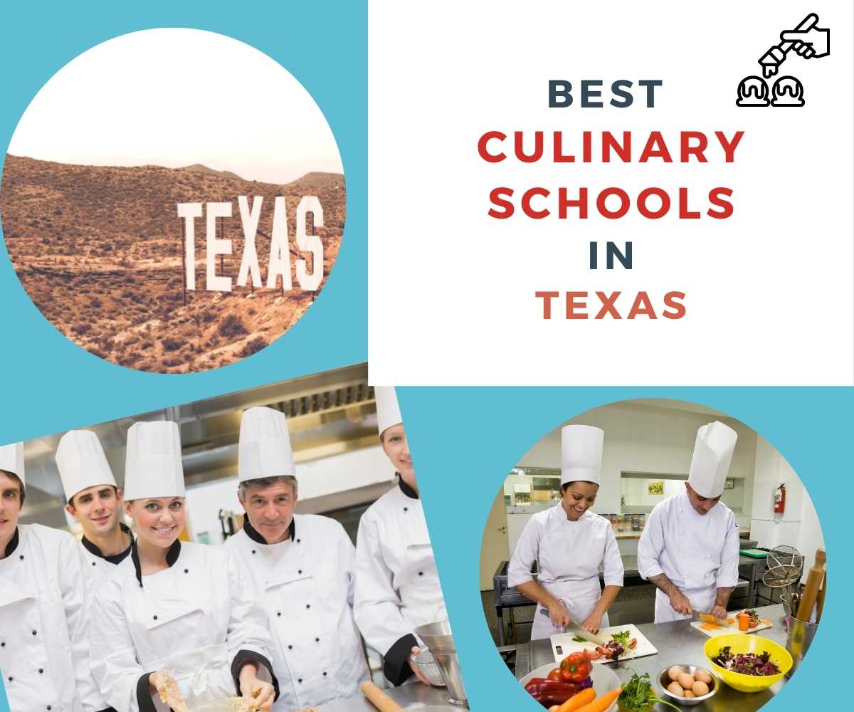 Top 12 Culinary Schools in Texas - Chef's Pencil