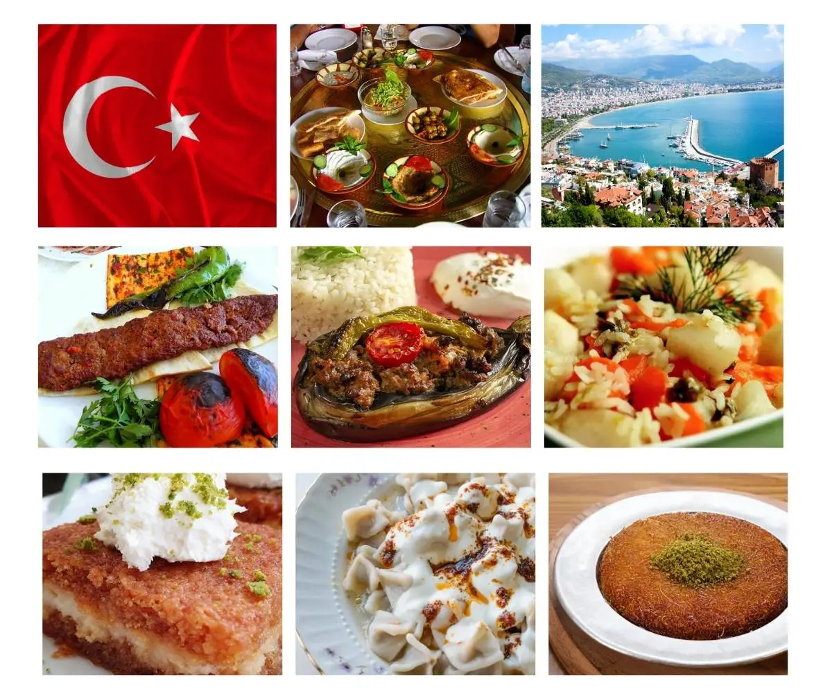 presentation about turkey food