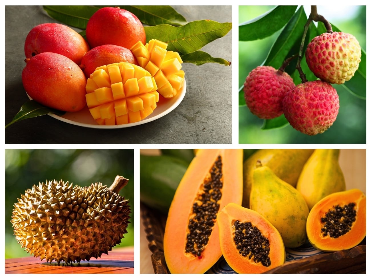Tropical Fruits