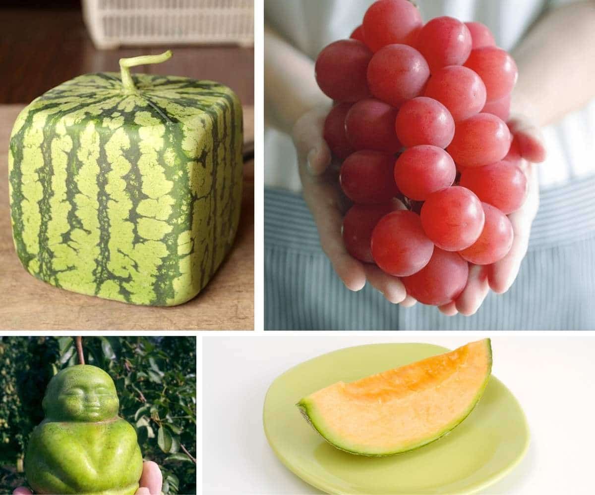 Twelve of the World’s Most Expensive Fruits