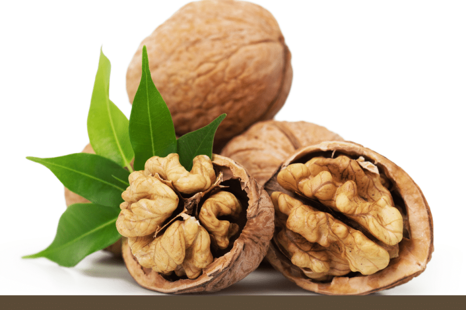 Walnut