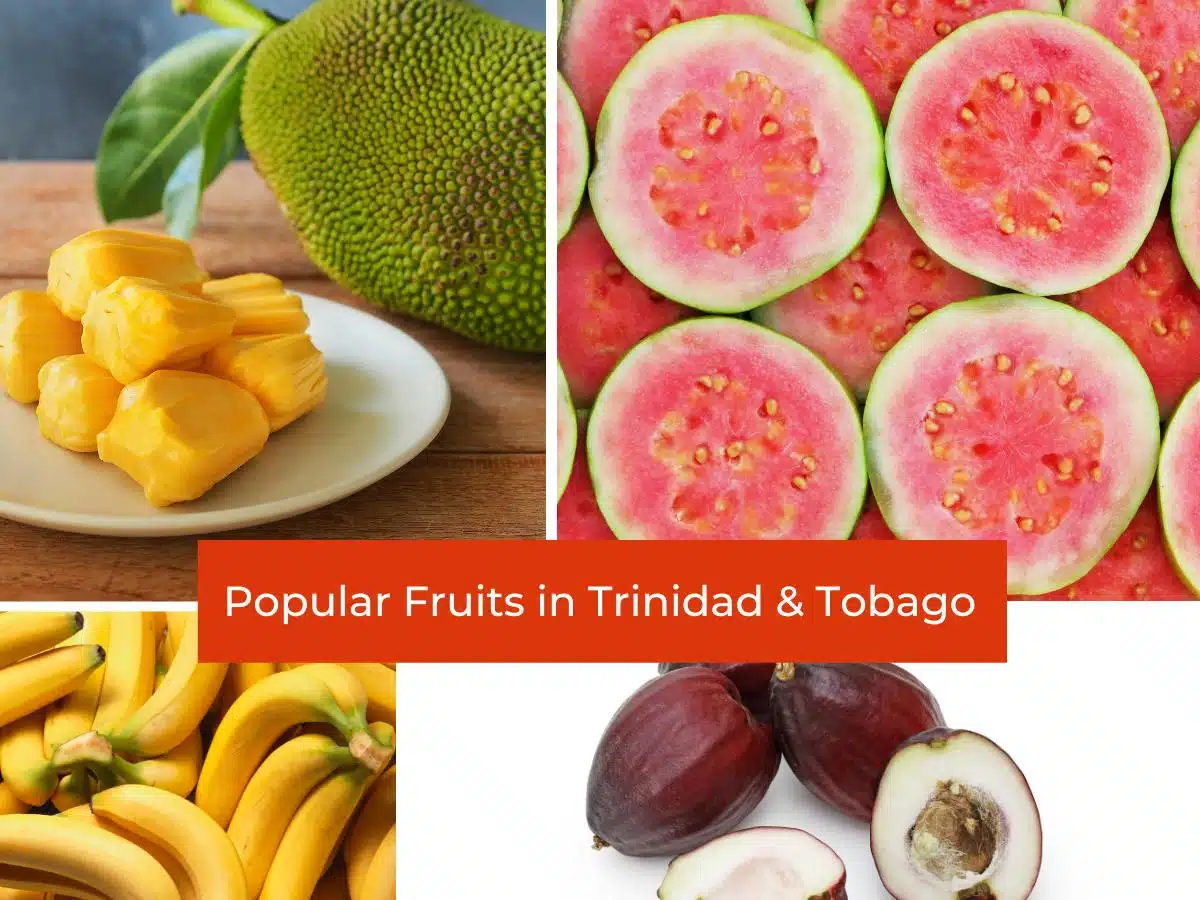 Popular Fruits in Trinidad & Tobago