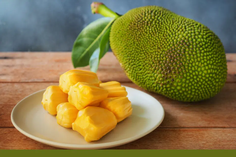 jackfruit