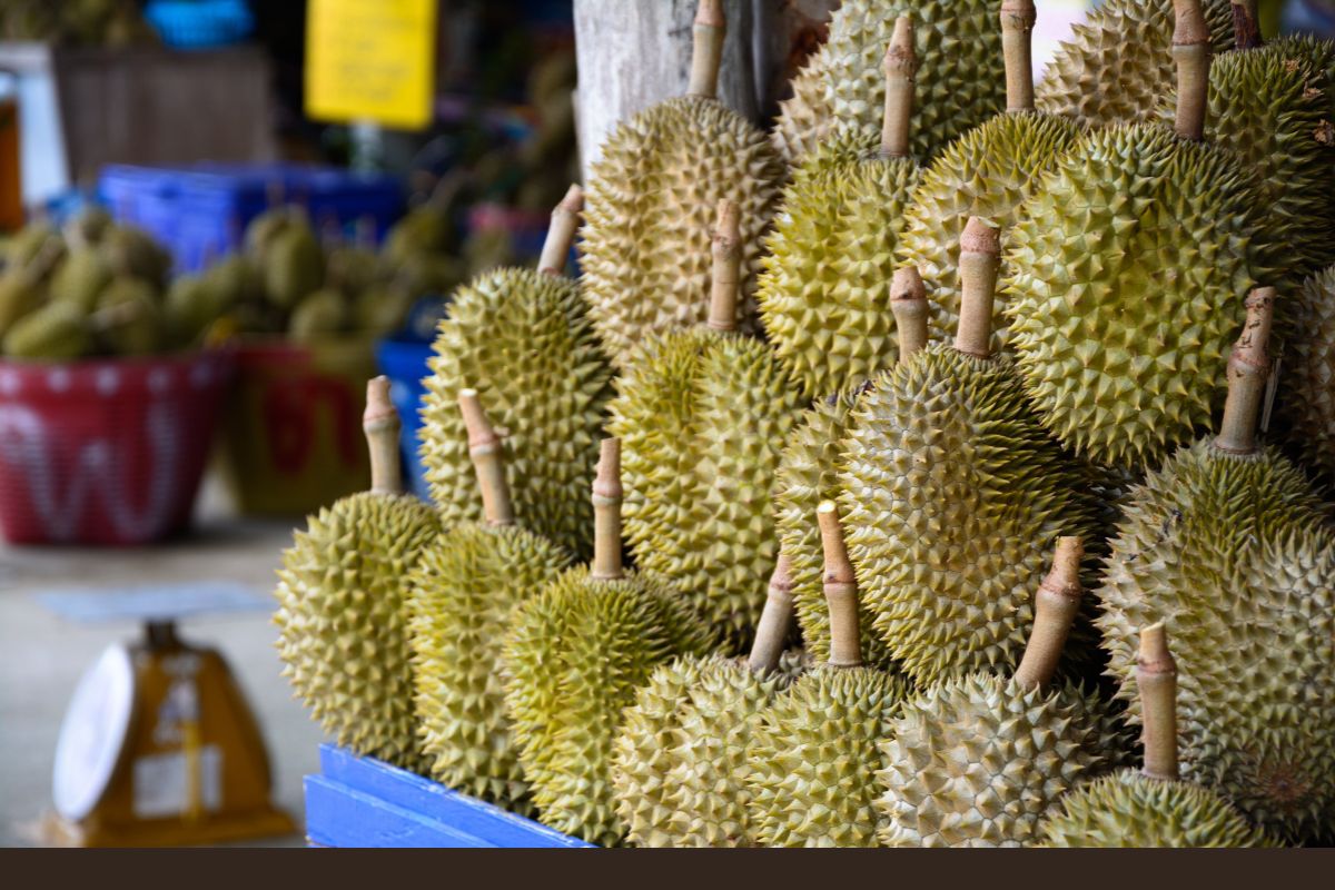 durian