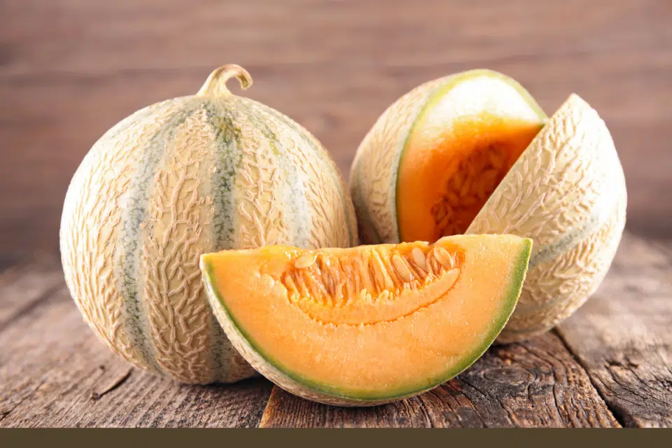 melons