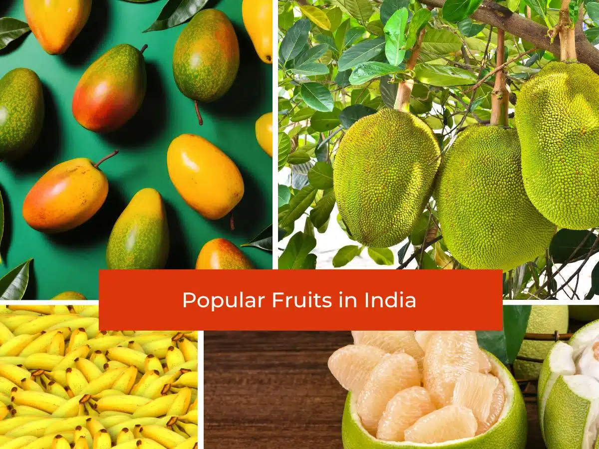 Popular Fruits in India